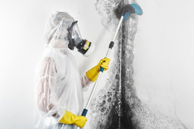 A person in a hazmat suit removing black mold