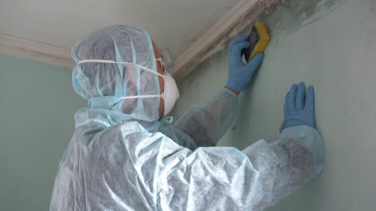 A person in protective gear removing mold