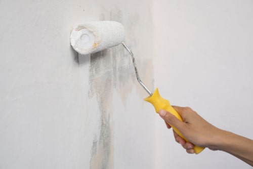 Encapsulation Lead Paint Removal Technique