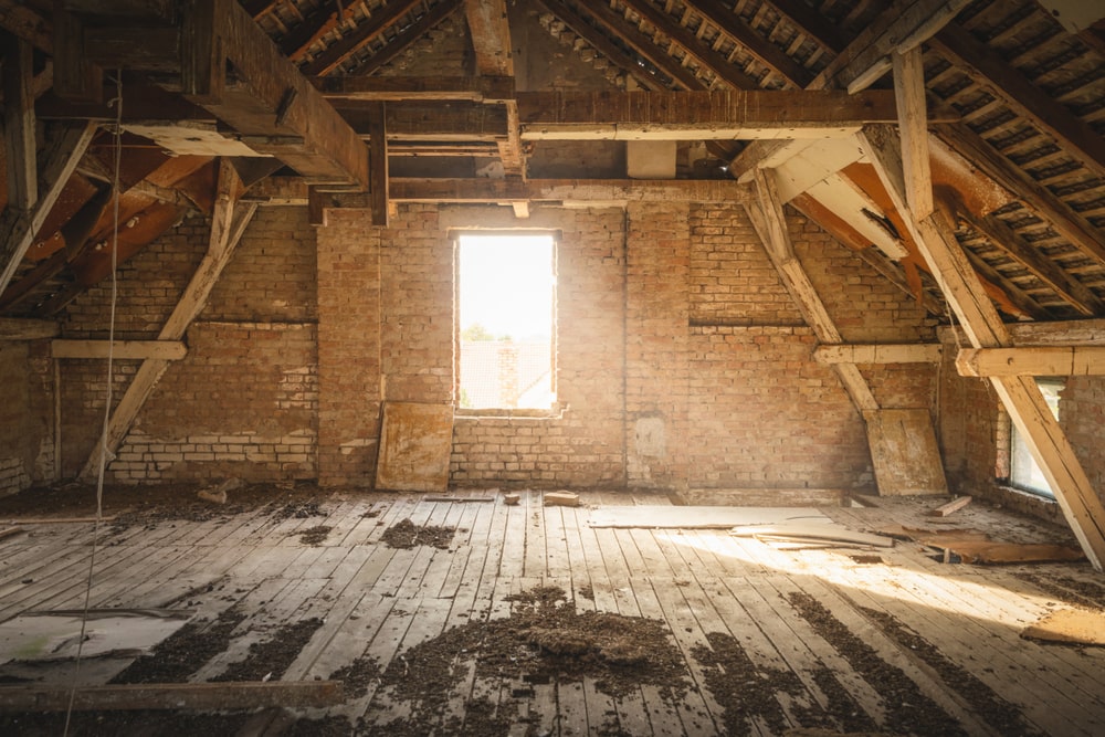 An Attic with potential for mold growth