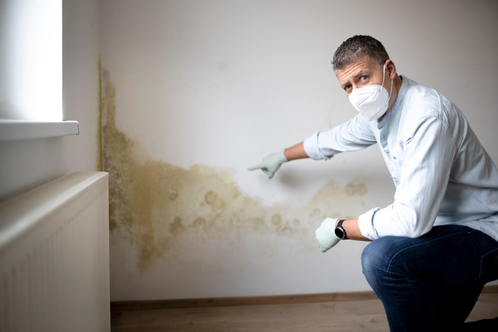Man in a Mask pointing at mold growth on a wall.